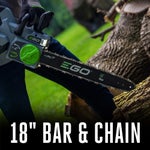 EGO Power+ 18" Chain Saw (45CC)