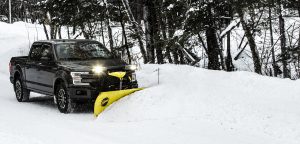 Fisher SD Series STRAIGHT BLADE