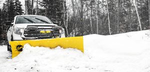 Fisher HT Series™ STRAIGHT BLADE